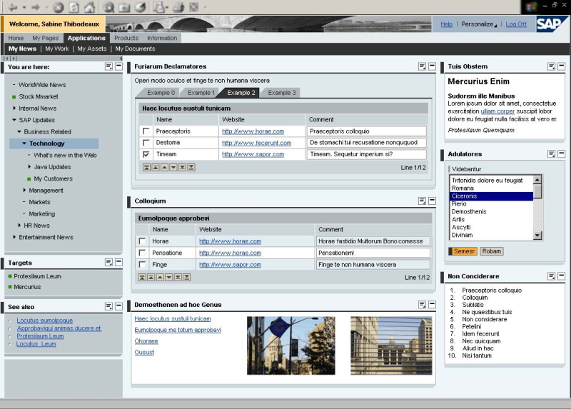 SAP Enterprise Portal